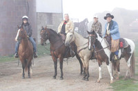 AM Cattle Drive- Fog