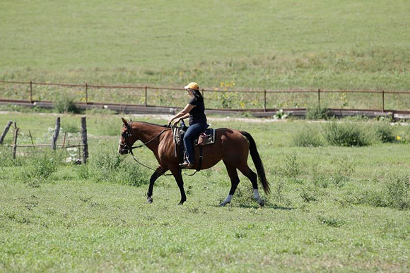 _mg_8157
