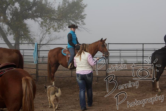 _mg_5874
